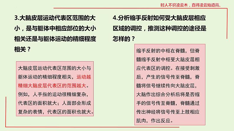 2.4 神经系统的分级调节课件--高二上学期生物人教版选择性必修1第6页