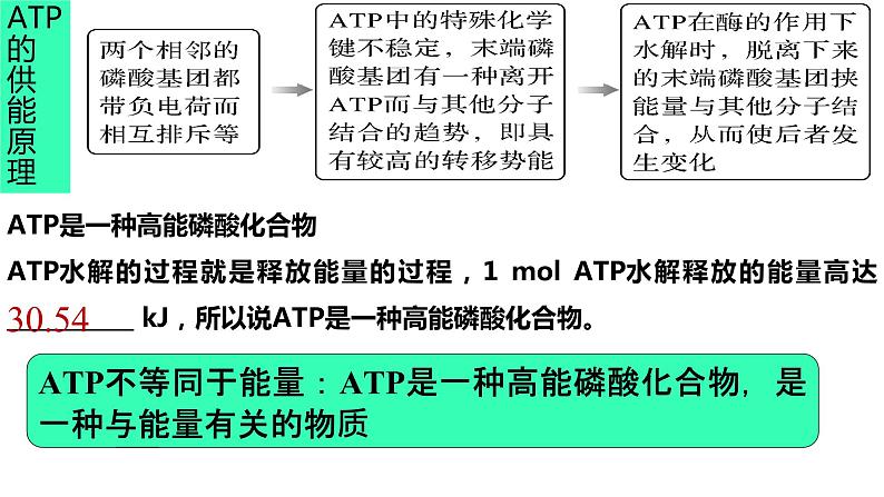 高三一轮复习生物：细胞的能量“货币”ATP课件04