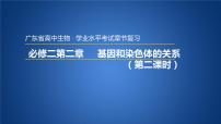 广东省普通高中生物学业水平考试 学考复习课件——必修二第二章基因和染色体的关系（第二课时）