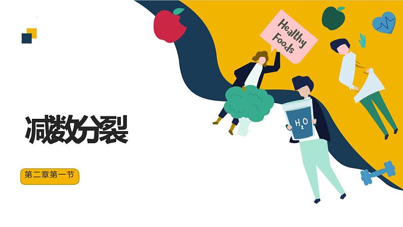 2.1减数分裂课件--高一下学期生物人教版（2019）必修2第1页