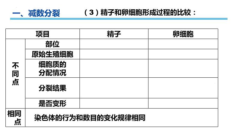 广东省普通高中生物学业水平考试 学考复习——必修二第二章基因和染色体的关系（第一课时）课件第8页