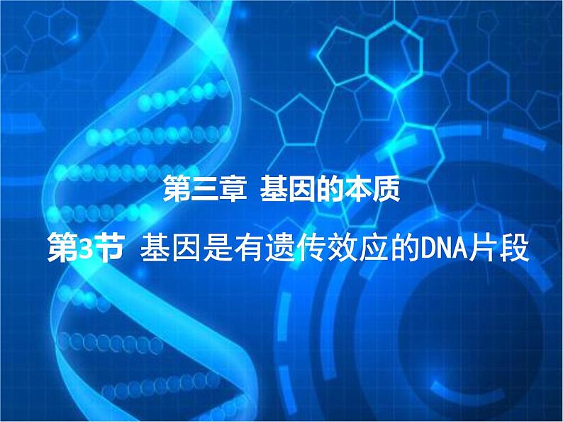 3.4基因是有遗传效应的DNA片段课件--高一下学期生物人教版必修2第1页