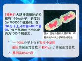 3.4基因是有遗传效应的DNA片段课件--高一下学期生物人教版必修2