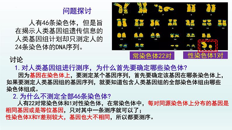 2.2 基因在染色体上课件--高一下学期生物人教版必修2第2页