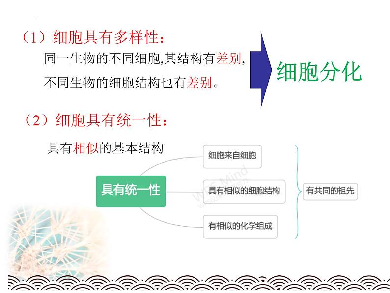 1.2细胞的多样性和统一性（2课时）--高一上学期生物人教版必修1第8页