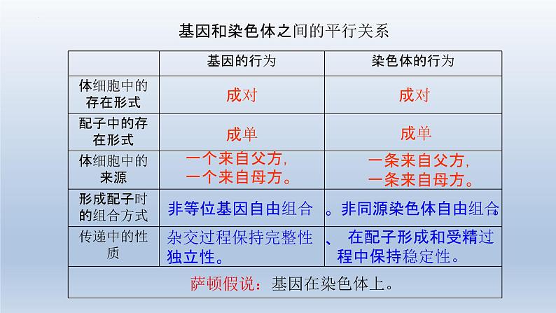 2.2基因在染色体上课件--高一下学期生物人教版必修2第3页