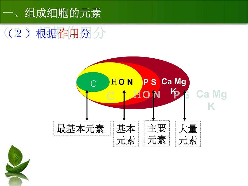 2.1 细胞中的元素和化合物课件--高一上学期生物人教版（2019）必修106