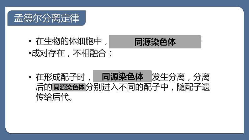 2.2基因在染色体上课件--高一下学期生物人教版必修2 (1)第2页