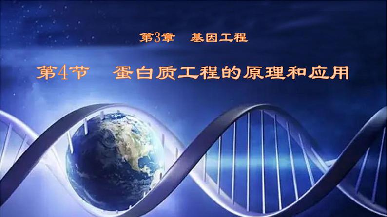 3.4蛋白质工程的原理和应用课件--高二下学期生物人教版选择性必修301