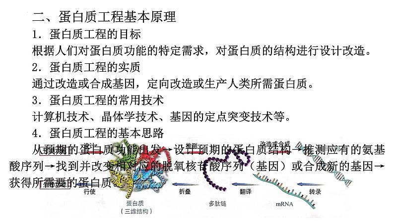 3.4蛋白质工程的原理和应用课件--高二下学期生物人教版选择性必修304