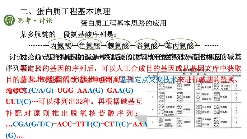 3.4蛋白质工程的原理和应用课件--高二下学期生物人教版选择性必修305