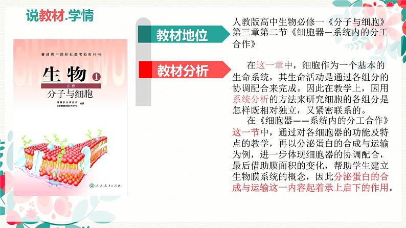 3.2分泌蛋白的合成与运输说课课件--高一上学期生物人教版必修1第3页