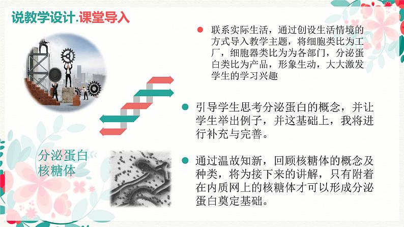 3.2分泌蛋白的合成与运输说课课件--高一上学期生物人教版必修1第6页