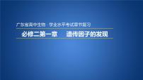 广东省普通高中生物学业水平考试 学考复习——必修二第一章遗传因子的发现课件