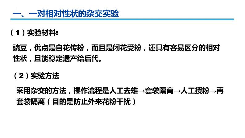 广东省普通高中生物学业水平考试 学考复习——必修二第一章遗传因子的发现课件第3页