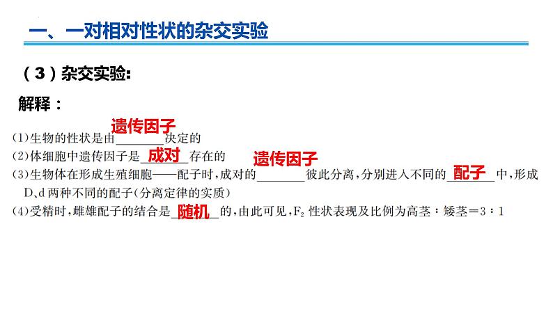 广东省普通高中生物学业水平考试 学考复习——必修二第一章遗传因子的发现课件第5页