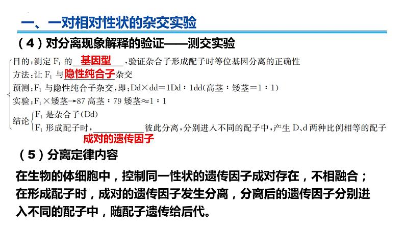 广东省普通高中生物学业水平考试 学考复习——必修二第一章遗传因子的发现课件第7页