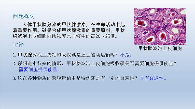 4.2主动运输与胞吞、胞吐 课件--高一上学期生物人教版必修102