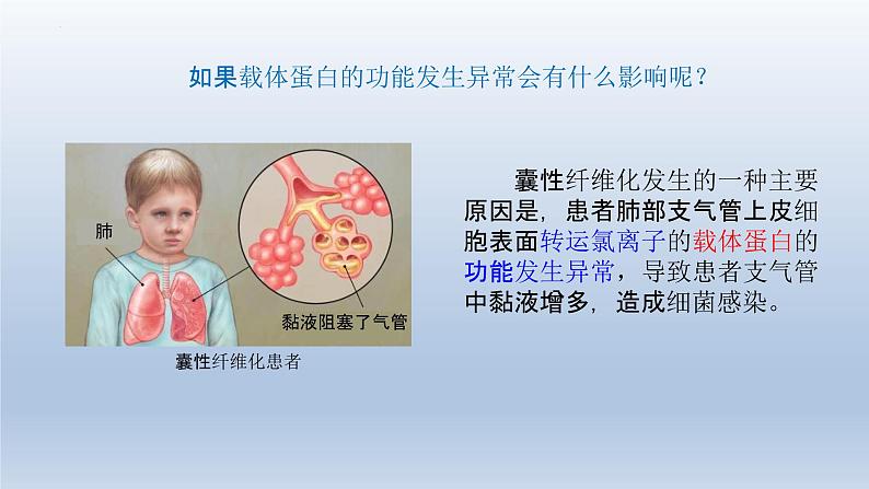 4.2主动运输与胞吞、胞吐 课件--高一上学期生物人教版必修107