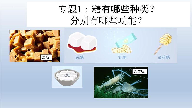 2.3 细胞中的糖类和脂质 (1)课件--高一上学期生物人教版（2019）必修105