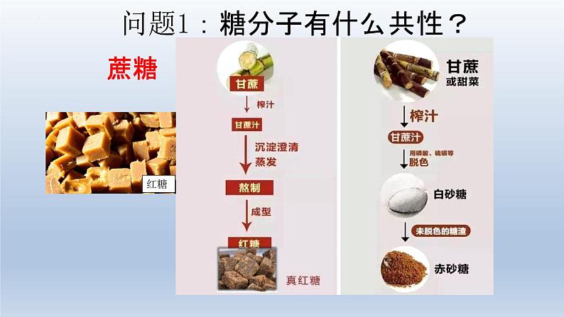 2.3 细胞中的糖类和脂质 (1)课件--高一上学期生物人教版（2019）必修107