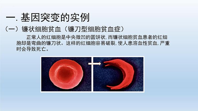 5.1 .1基因突变和基因重组课件--高一下学期生物人教版必修2第3页