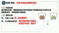 1.1孟德尔的豌豆杂交实验（一）第二课时 课件--高一下学期生物人教版必修2