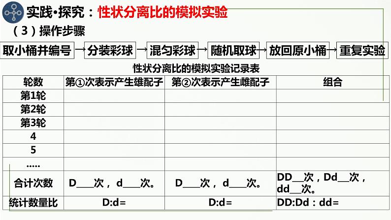 1.1孟德尔的豌豆杂交实验（一）第二课时 课件--高一下学期生物人教版必修2第2页