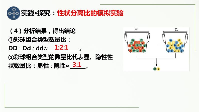 1.1孟德尔的豌豆杂交实验（一）第二课时 课件--高一下学期生物人教版必修2第3页