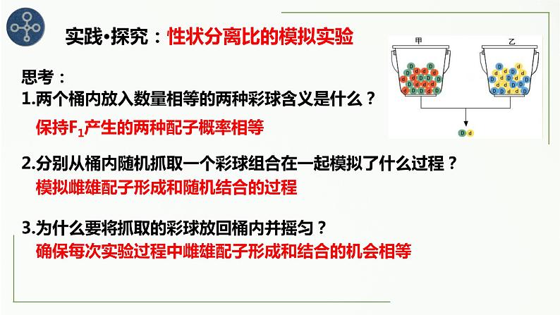 1.1孟德尔的豌豆杂交实验（一）第二课时 课件--高一下学期生物人教版必修2第4页