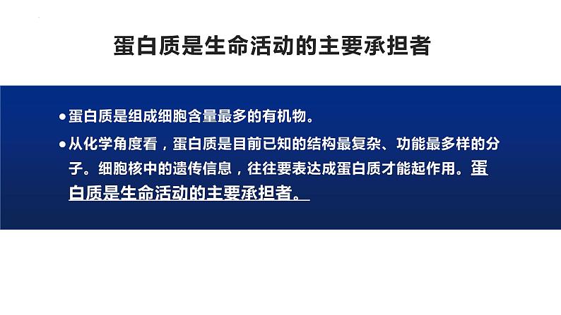 2.4 蛋白质是生命活动的主要承担者--高一上学期生物人教版必修1 课件03