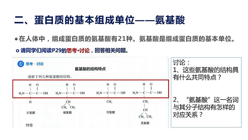 2.4 蛋白质是生命活动的主要承担者--高一上学期生物人教版必修1 课件05