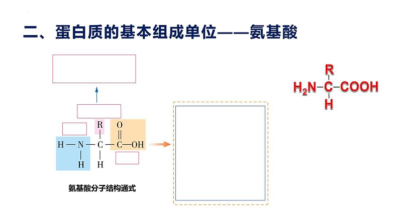 2.4 蛋白质是生命活动的主要承担者--高一上学期生物人教版必修1 课件06