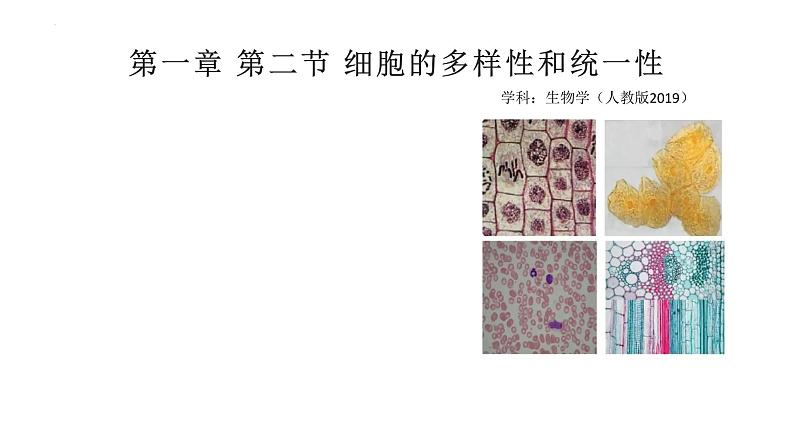 1.2细胞的多样性和统一性课件--高一上学期生物人教版必修101