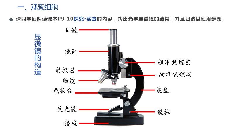 1.2细胞的多样性和统一性课件--高一上学期生物人教版必修102