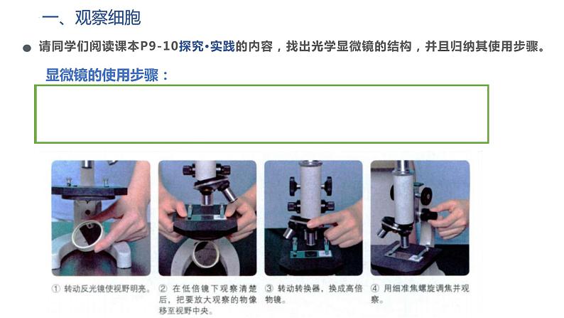 1.2细胞的多样性和统一性课件--高一上学期生物人教版必修103