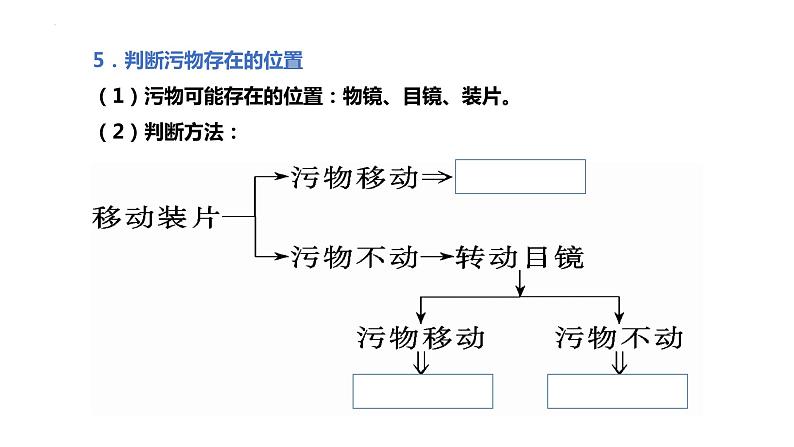 1.2细胞的多样性和统一性课件--高一上学期生物人教版必修108