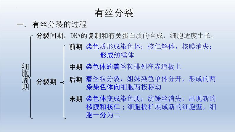 6.1细胞的增殖（第二课时）--高一上学期生物人教版必修1 课件08