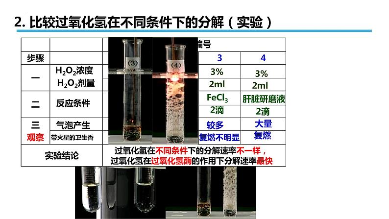 广东省普通高中生物学业水平考试 学考复习课件——第五章细胞的能量供应和利用（第一课时）第5页