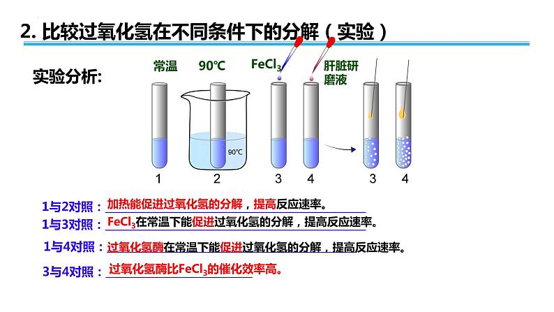 广东省普通高中生物学业水平考试 学考复习课件——第五章细胞的能量供应和利用（第一课时）第6页