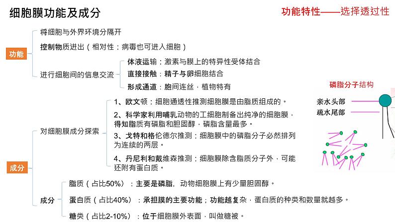 高三生物一轮复习课件：专题2-细胞的基本结构第4页