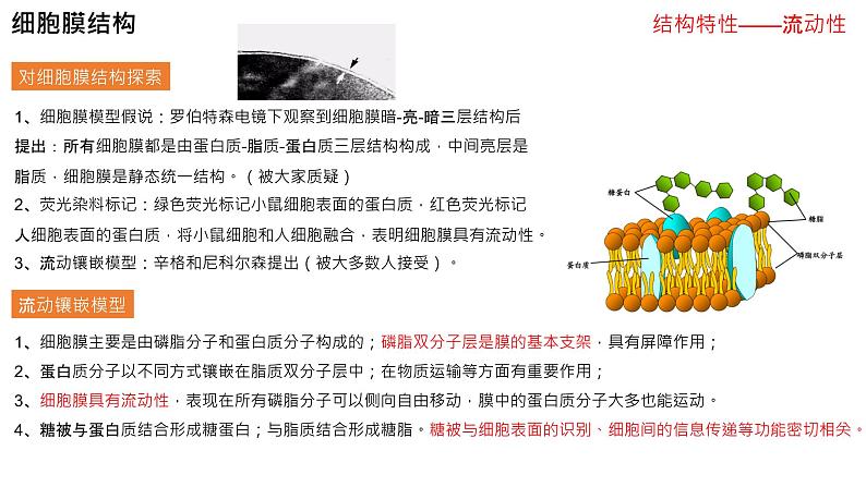 高三生物一轮复习课件：专题2-细胞的基本结构第5页