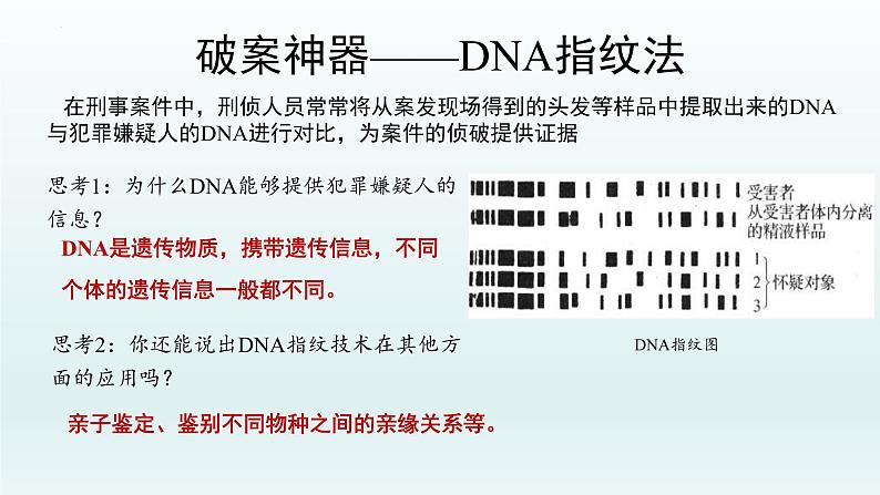 2.5核酸是遗传信息的携带者课件--高一上学期生物人教版必修1第2页