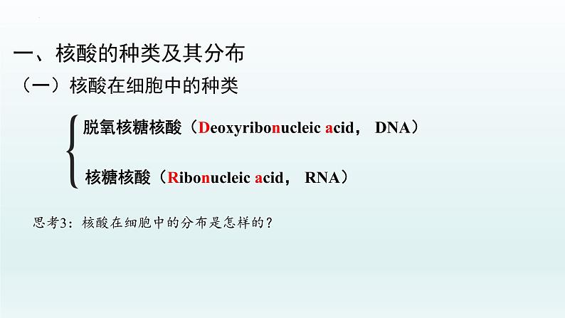 2.5核酸是遗传信息的携带者课件--高一上学期生物人教版必修1第3页