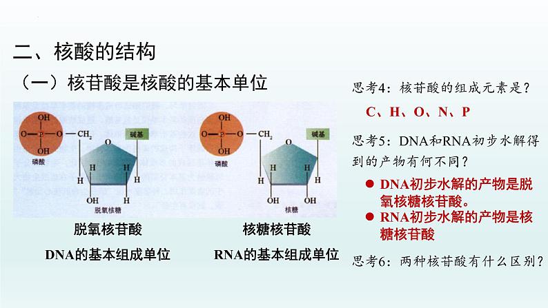 2.5核酸是遗传信息的携带者课件--高一上学期生物人教版必修1第6页