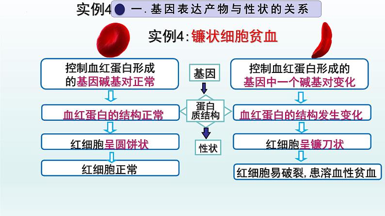 4.2基因表达与性状的关系（第1课时）课件--高一下学期生物人教版必修2第6页