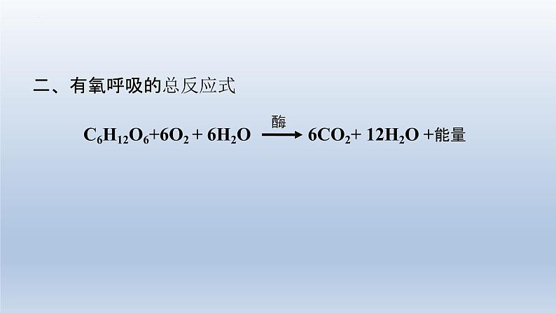 5.3  细胞呼吸的原理和应用（第二课时） (1)课件--高一上学期生物人教版（2019）必修1第4页