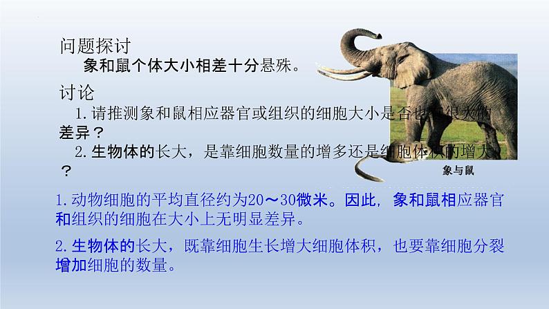 6.1细胞的增殖（第一课时）--高一上学期生物人教版必修1 课件02