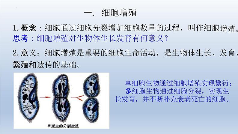 6.1细胞的增殖（第一课时）--高一上学期生物人教版必修1 课件03