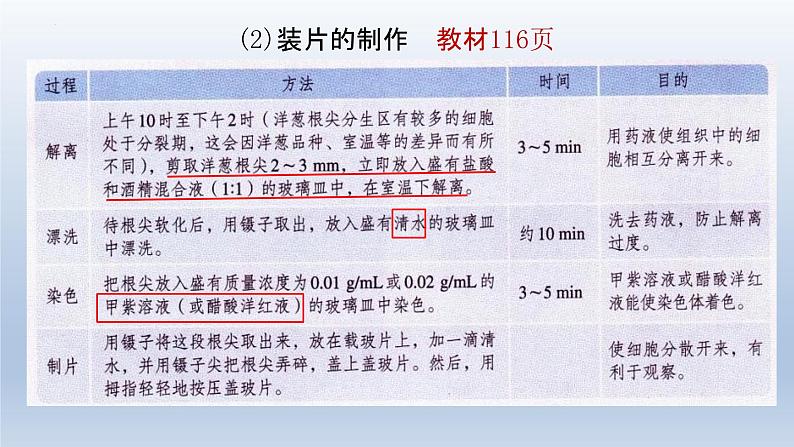 6.1细胞的增殖（第一课时）--高一上学期生物人教版必修1 课件08